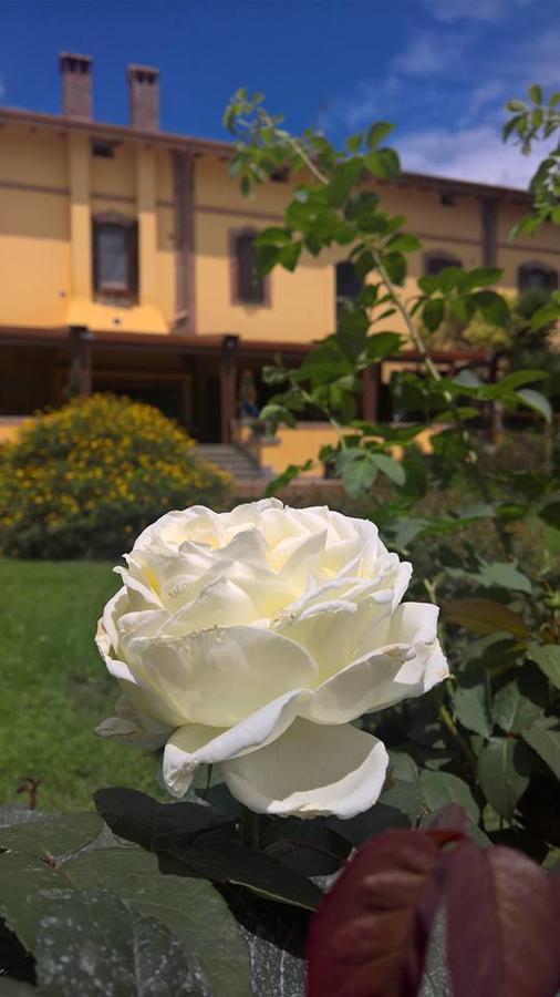 Boma Countryhouse Casale Bufalotta Exteriér fotografie